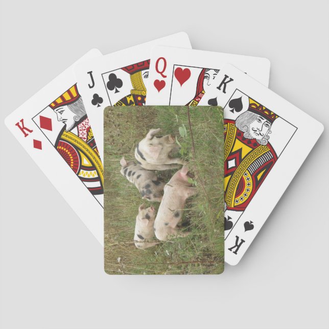 Pigs in a Field Playing Cards (Back)