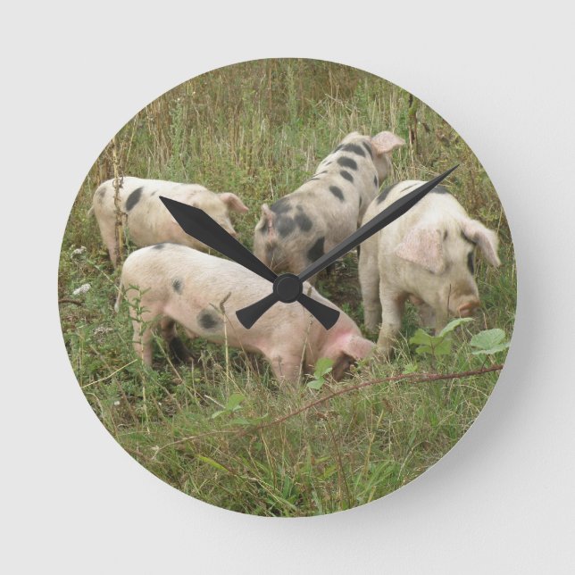 Pigs in a Field Wall Clock (Front)