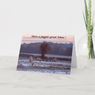 Pigs in snow Christmas card