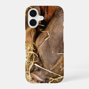 PIGS iPhone 16 CASE