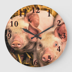 Pigs Large Clock