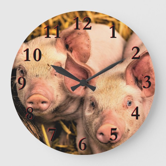 Pigs Large Clock (Front)