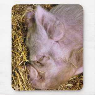 PIGS MOUSE MAT
