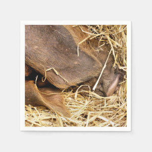 PIGS NAPKIN