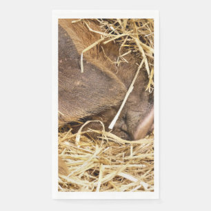 PIGS NAPKIN