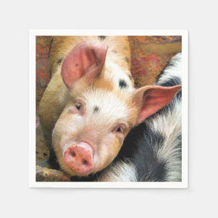 PIGS NAPKIN