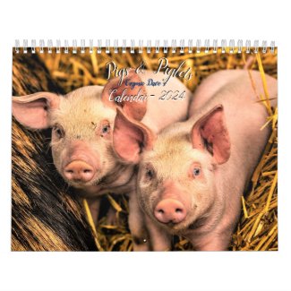 Pigs & Piglets Calendar - 2024