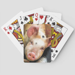 PIGS  PLAYING CARDS