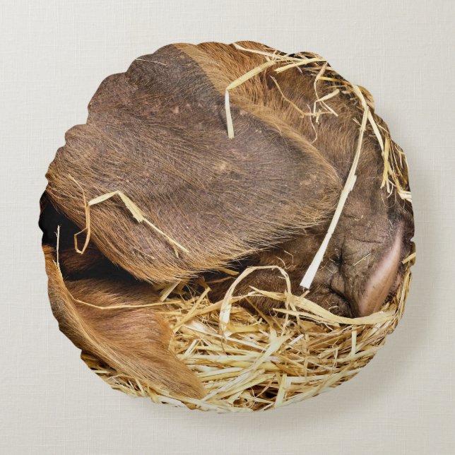 PIGS ROUND CUSHION (Front)
