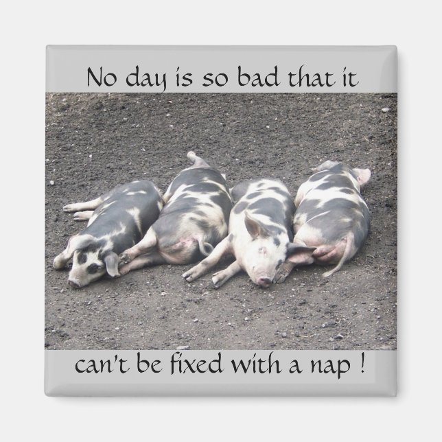 Pigs sleeping magnet (Front)