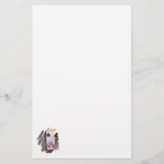 PIGS STATIONERY (Front)