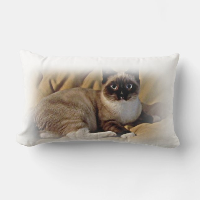 Pika-a-Choo Snowshoe rescue Kitten throw pillow (Front)