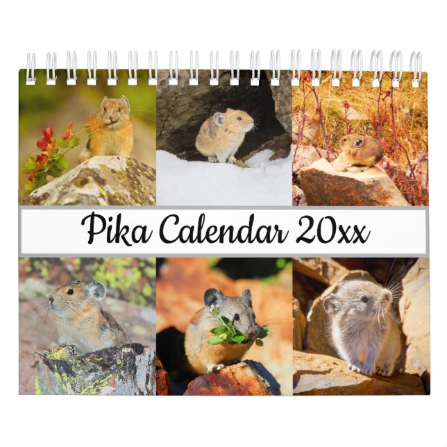 Pika Calendar (Cover)