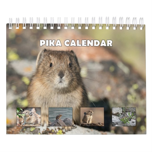 Pika Calendar (Cover)