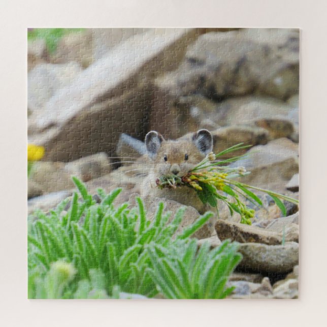 Pika Holding Leaves And Flowers In Mouth Jigsaw Puzzle (Horizontal)
