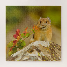Pika Holding Leaves In Mouth