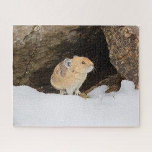 Pika In Snow Jigsaw Puzzle