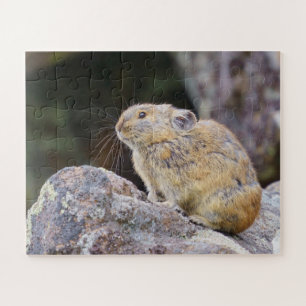 Pika Jigsaw Puzzle
