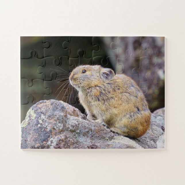 Pika Jigsaw Puzzle (Horizontal)