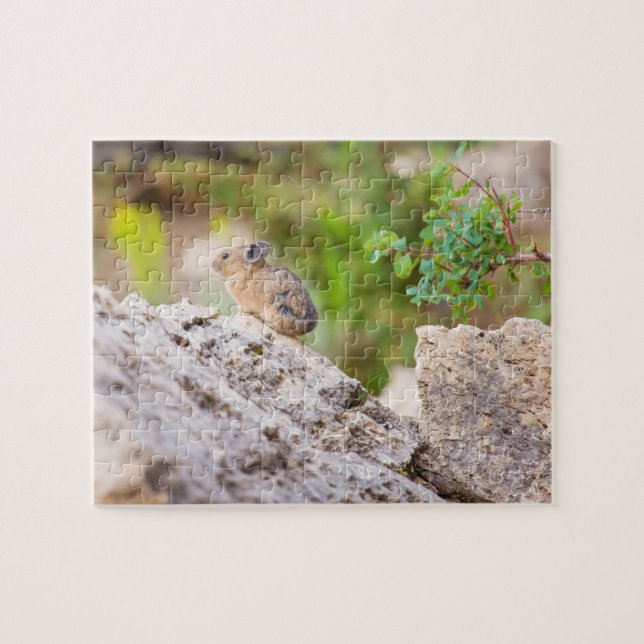 Pika Jigsaw Puzzle (Horizontal)