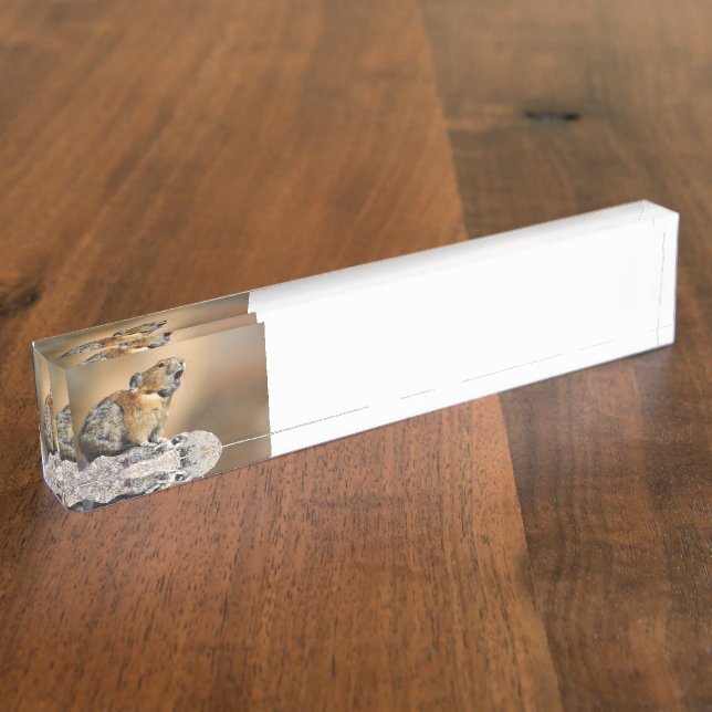 Pika Nameplate (Side)