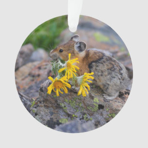 pika ornament