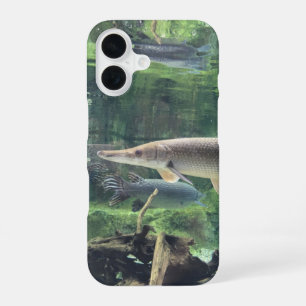 Pike Fish Ckear Water Photo iPhone 16 Case