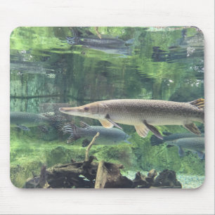 Pike Fish Mouse Mat