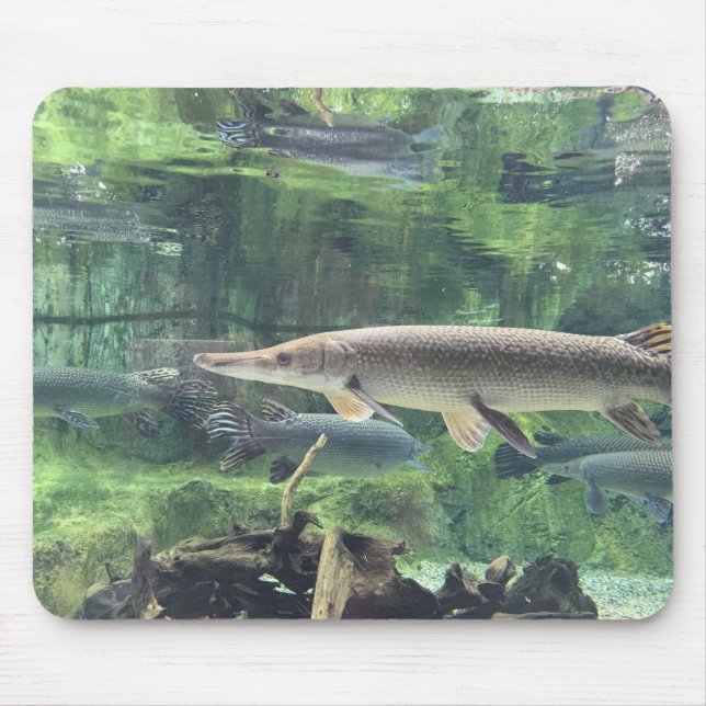 Pike Fish Mouse Mat (Front)