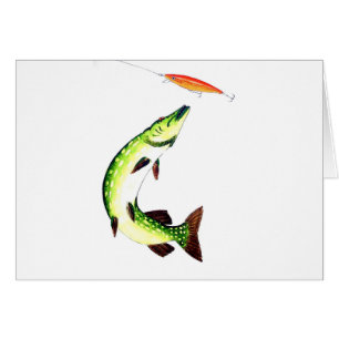 Pike fishing and fly fishing