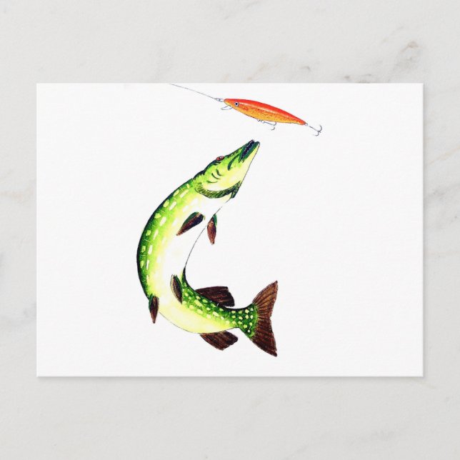 Pike Fishing Postcard (Front)