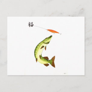 Pike fishing postcard
