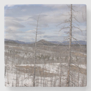 Pike Forest Marble Stone Coaster