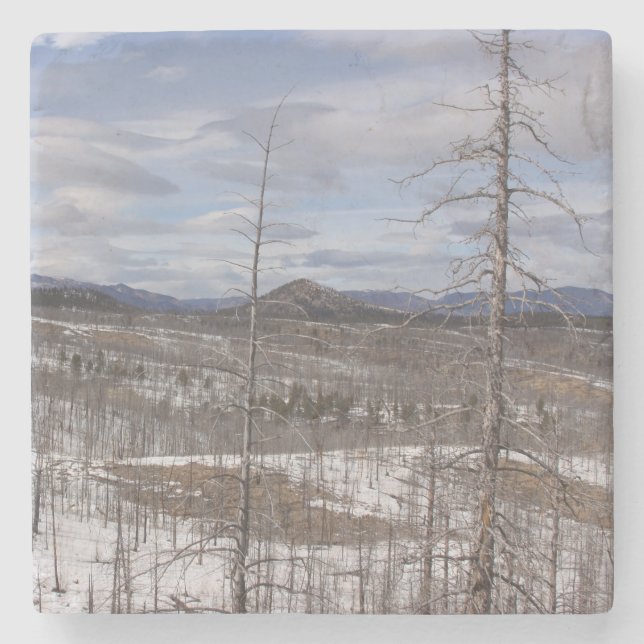 Pike Forest Marble Stone Coaster (Front)