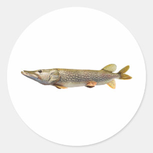 Pike Muski fishing Classic Round Sticker