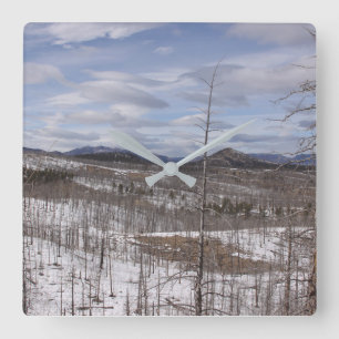 Pike National Forest Clock
