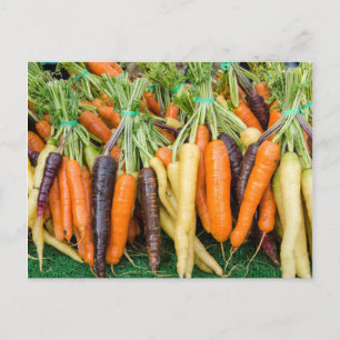 Pikes Place Market, Seattle, Washington, USA Postcard