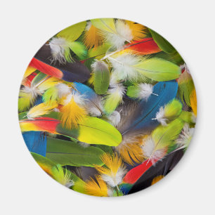 Pile of colourful feathers magnet