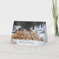 Pile of Cut Logs in Snow