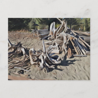 Pile of Driftwood Postcard