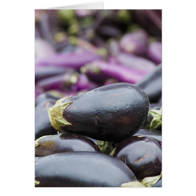 Pile of eggplant (Front)