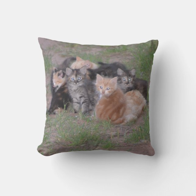 Pile of Kittens Cushion (Front)