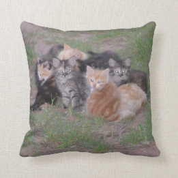 Pile of Kittens Cushion