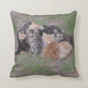 Pile of Kittens Cushion