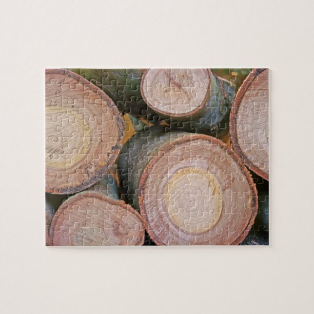 Pile of logs jigsaw puzzle (Horizontal)