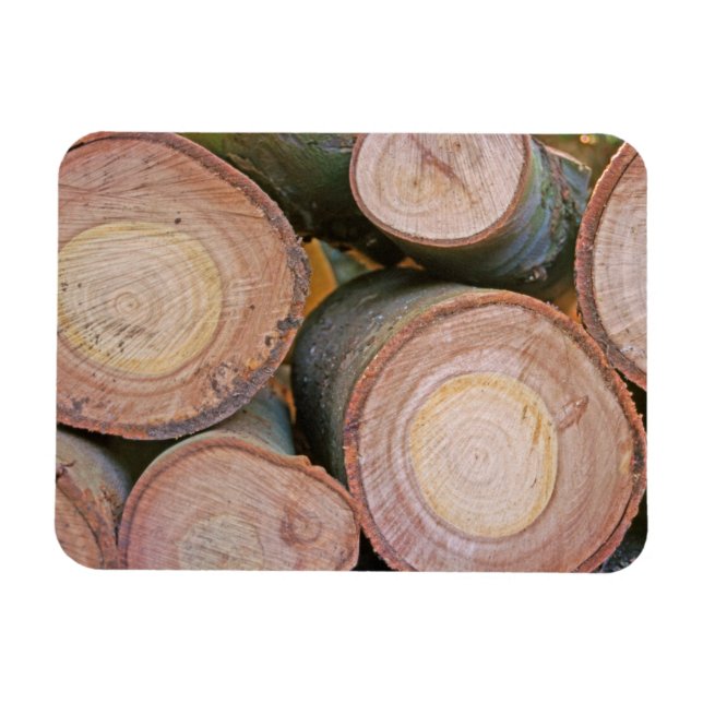Pile of logs magnet (Horizontal)