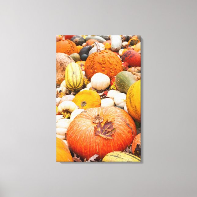 Pile Of Pumpkins And Squash Canvas Print (Front)