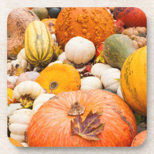 Pile Of Pumpkins And Squash Coaster