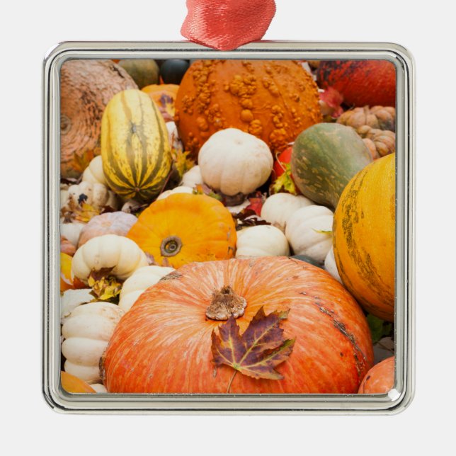 Pile Of Pumpkins And Squash Metal Tree Decoration (Front)