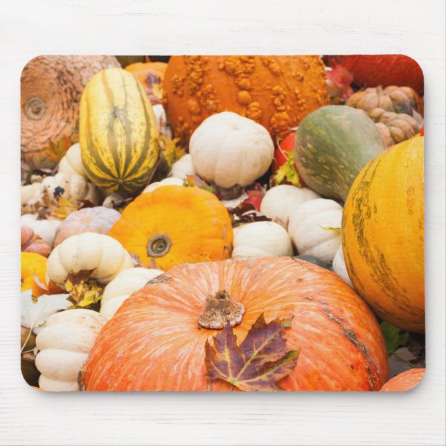 Pile Of Pumpkins And Squash Mouse Mat (Front)